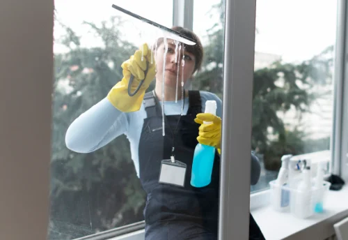 Nettoyage de vitres intérieures et extérieures à Montreuil-sur-Blaise